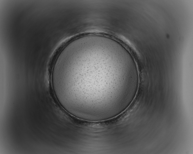 X0000092041408200710031016