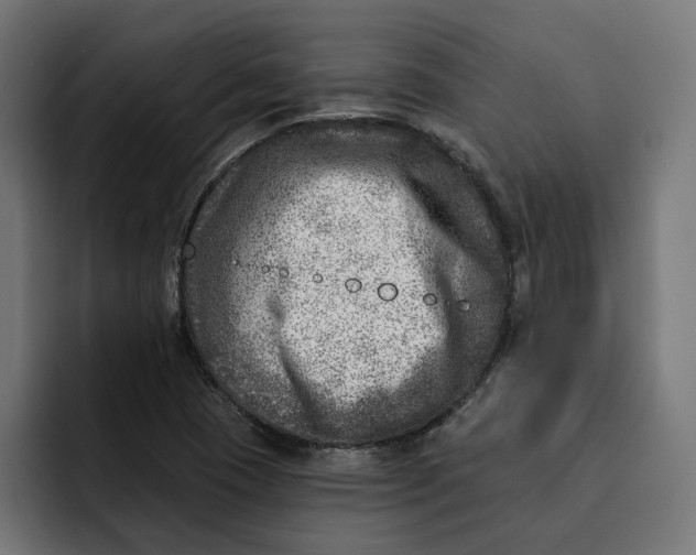 X0000092041409200710031016