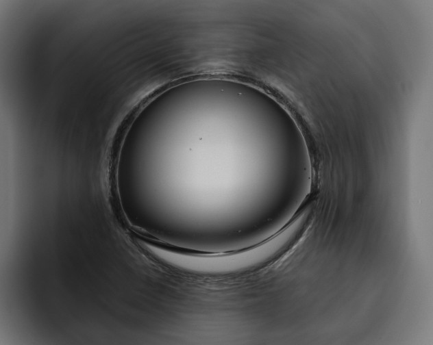 X0000092041410200710031016