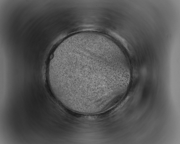 X0000092041411200710031016