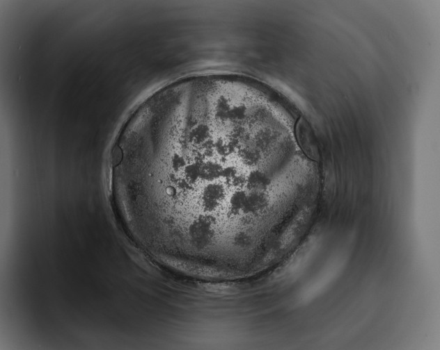 X0000092041413200710031016