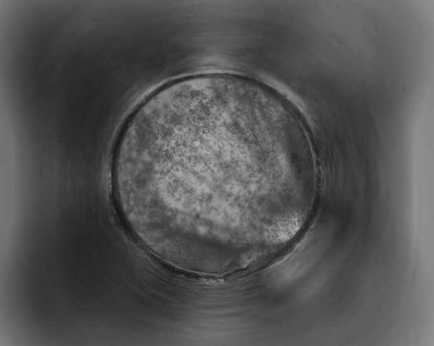 X0000092041415200710031016