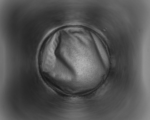 X0000092041416200710031016