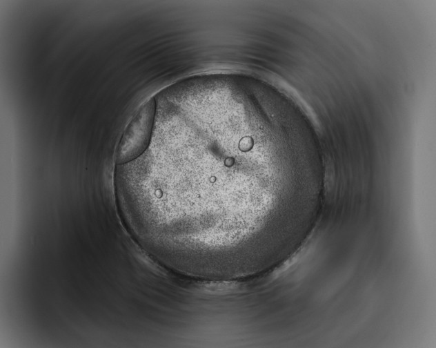 X0000092041417200710031016