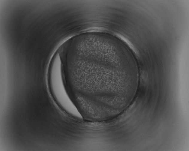 X0000092041418200710031016