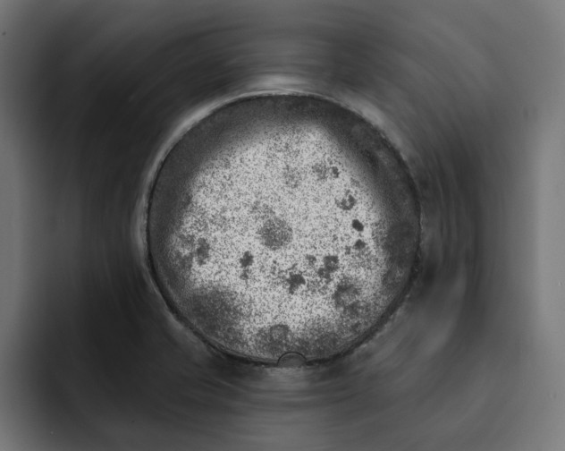 X0000092041421200710031016