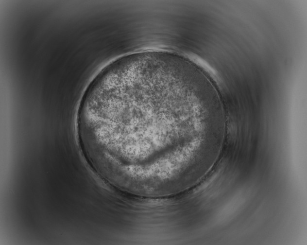 X0000092041423200710031016