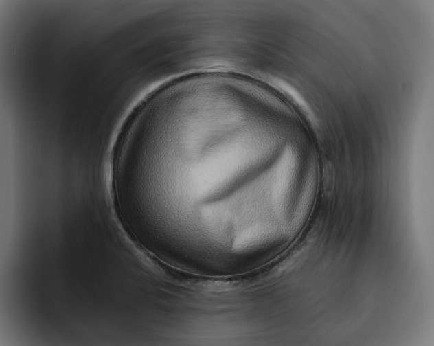 X0000092041424200710031016