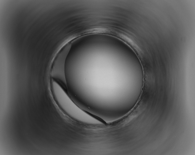 X0000092041426200710031016