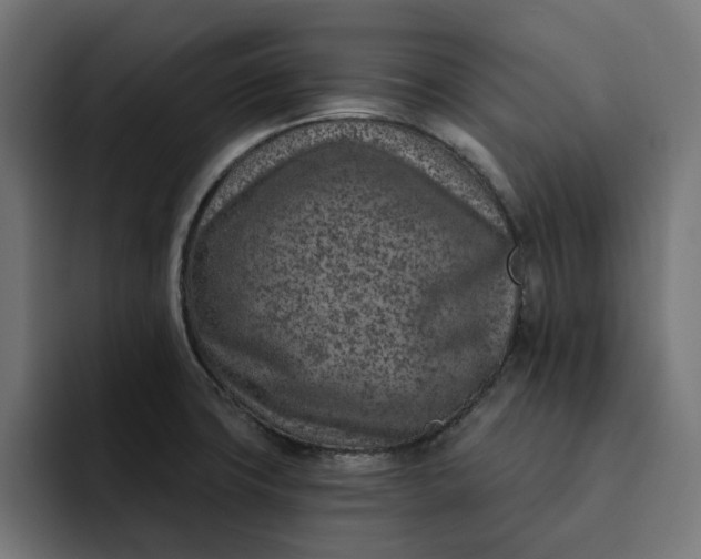 X0000092041427200710031016