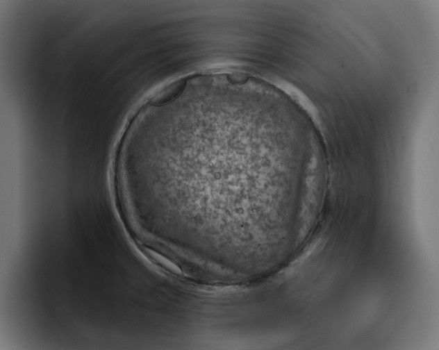 X0000092041429200710031016