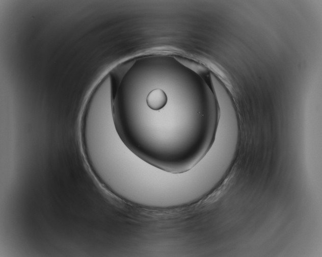 X0000092041430200710031016