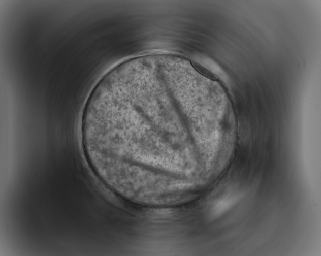 X0000092041431200710031016