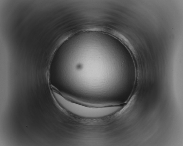 X0000092041433200710031016