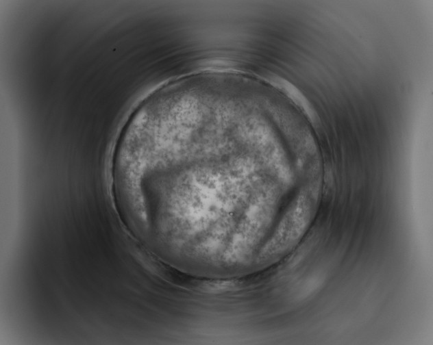 X0000092041435200710031017