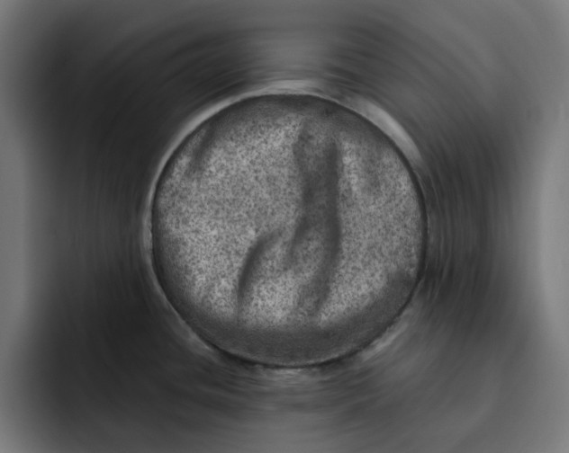 X0000092041436200710031017