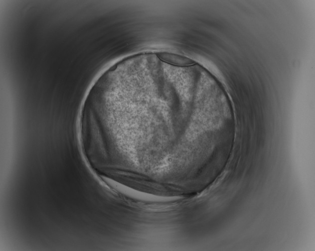 X0000092041440200710031017