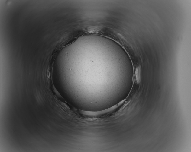 X0000092041443200710031016