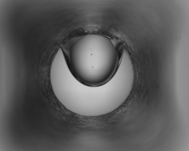 X0000092041445200710031016