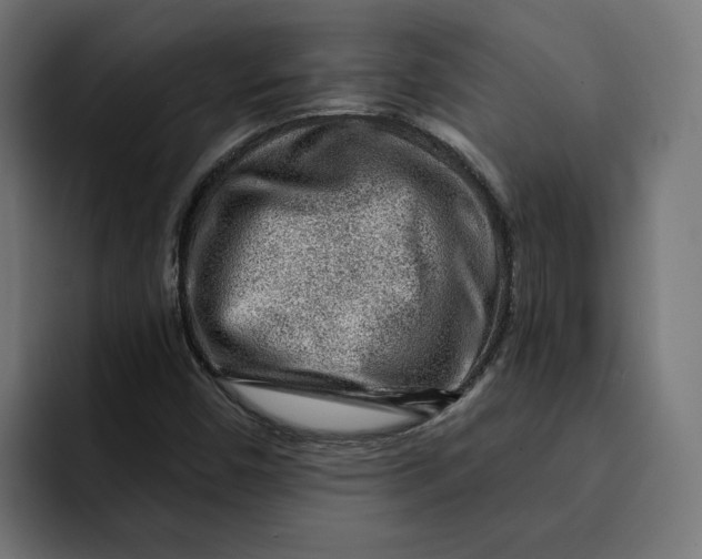 X0000092041450200710031016