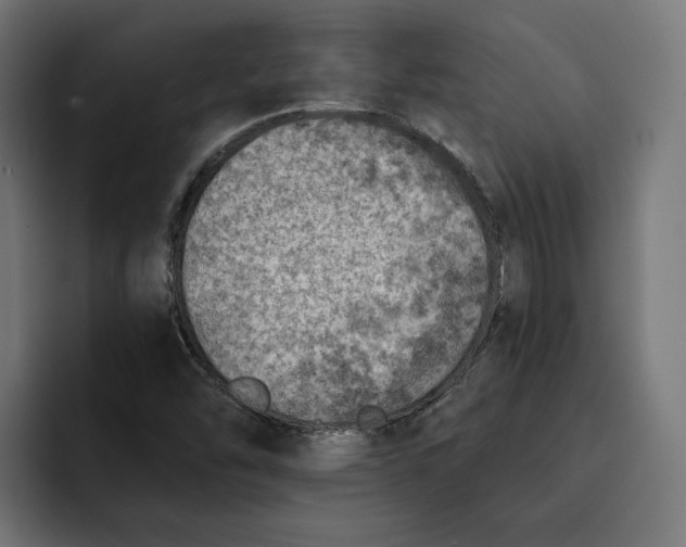 X0000092041454200710031016