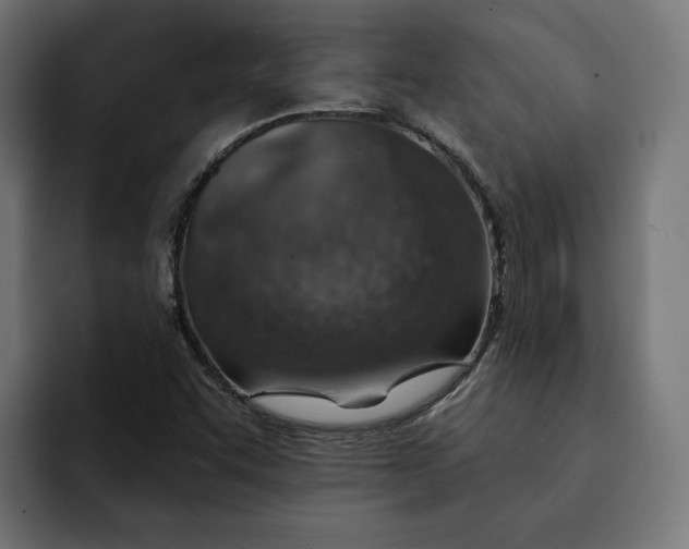 X0000092041455200710031016