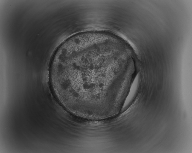 X0000092041459200710031016