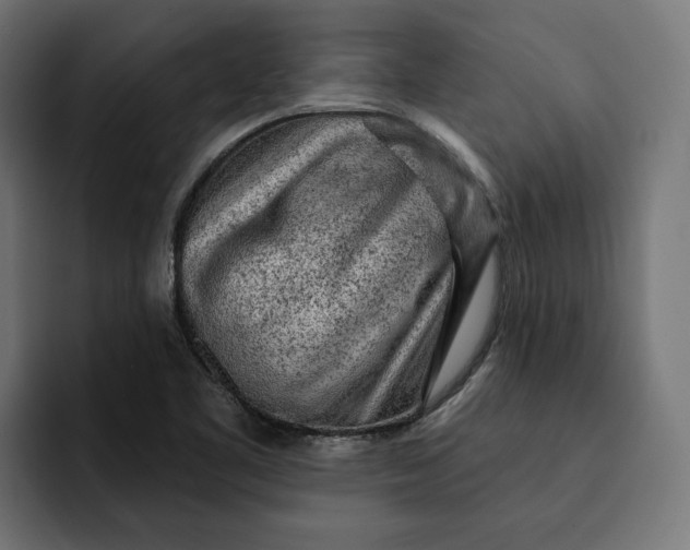 X0000092041461200710031016