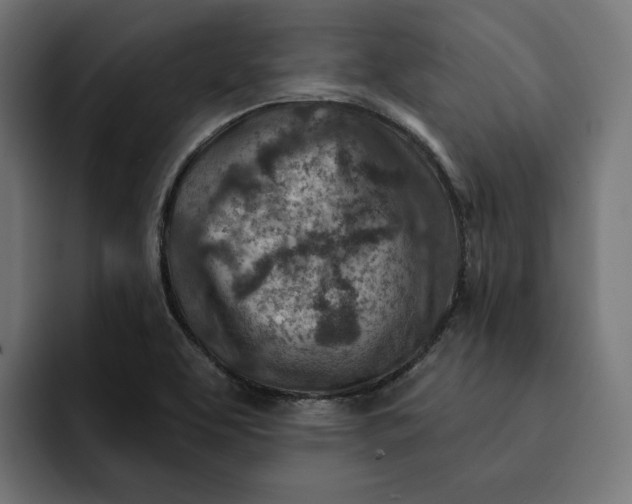 X0000092041463200710031016