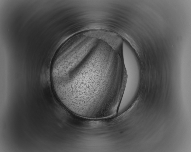 X0000092041465200710031016