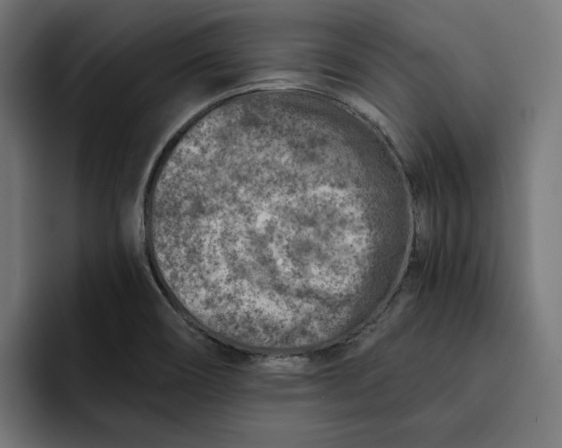 X0000092041466200710031016