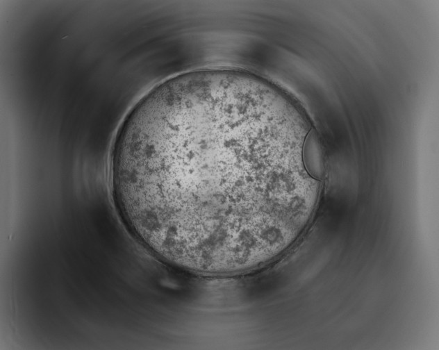 X0000092041467200710031016