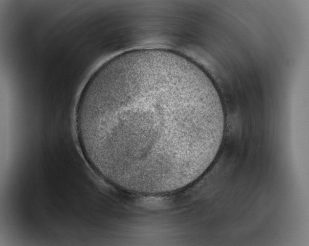 X0000092041470200710031016