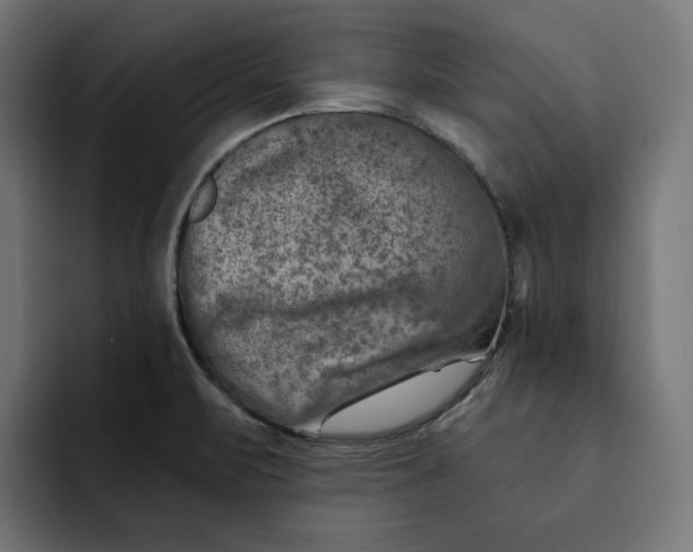 X0000092041471200710031016