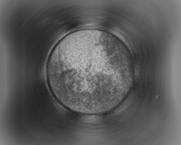 X0000092041474200710031016