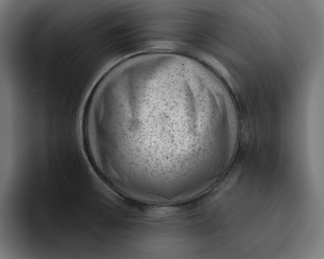 X0000092041475200710031016