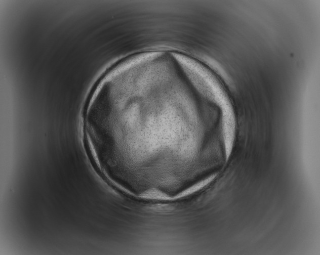 X0000092041476200710031016