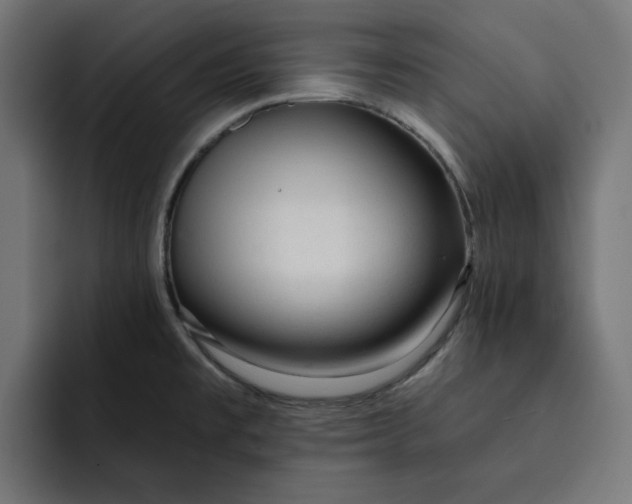 X0000092041477200710031016