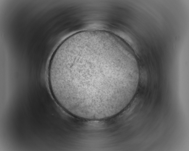 X0000092041478200710031016