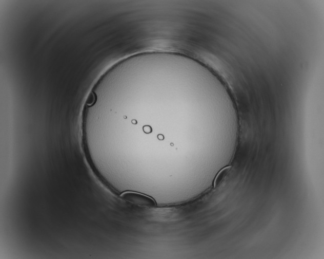 X0000092041479200710031016