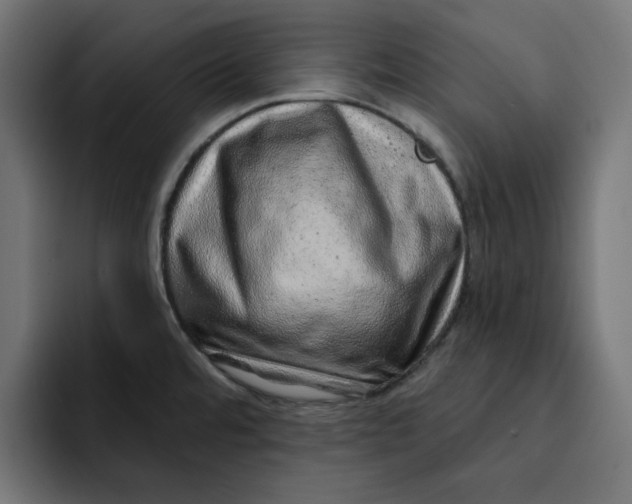 X0000092041480200710031016