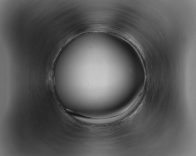 X0000092041481200710031016