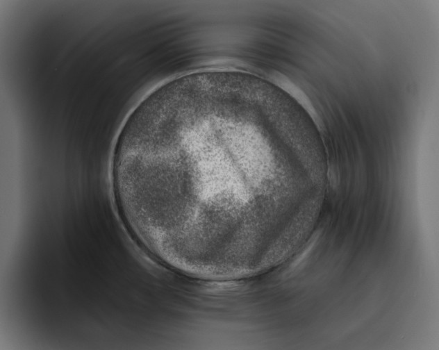 X0000092041482200710031016