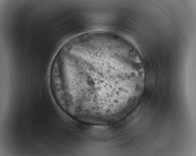 X0000092041483200710031016