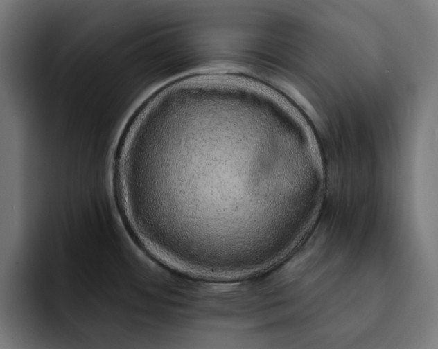 X0000092041484200710031016