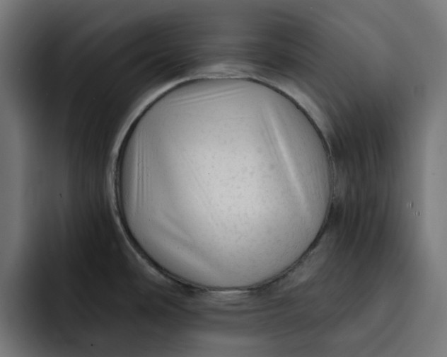 X0000092041486200710031016