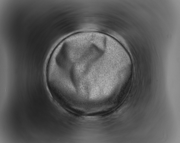 X0000092041488200710031015