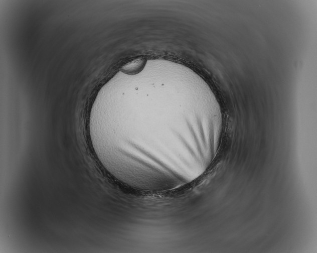 X0000092041489200710031015