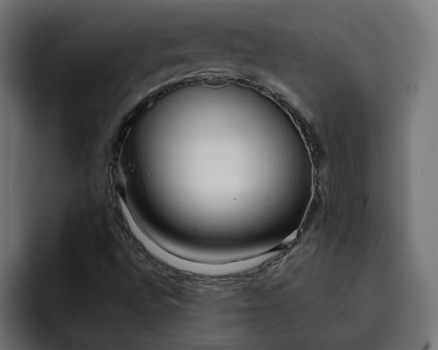 X0000092041496200710031015