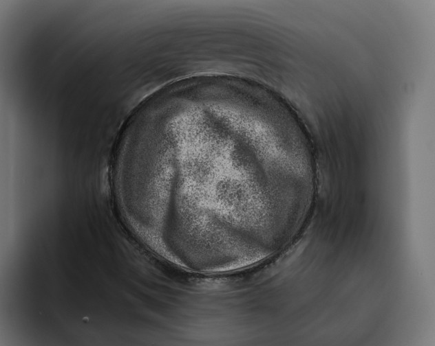 X0000092041497200710031015